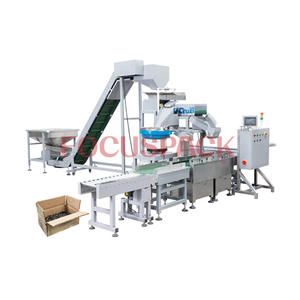 High Capacity Automatic Fastener Packing Machine Exporter